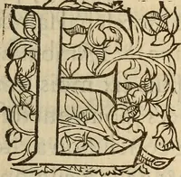 Picture 4 of 5 from Reqveste presentee av Roy et a la Royne par le trivmvirat. : Auec la response saicte par monseigneur le prince de Conde (1562), leaf 12