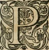 An illustration from Rerum ad sylvam-dvcis atave alibi in Belgio aut Belgis anno [1629] gestarum historia (1631)
