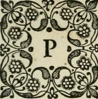 Picture 19 of 20 from Rerum ad sylvam-dvcis atave alibi in Belgio aut Belgis anno [1629] gestarum historia (1631), leaf 180