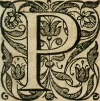 An illustration from Rerum ad sylvam-dvcis atave alibi in Belgio aut Belgis anno [1629] gestarum historia (1631)