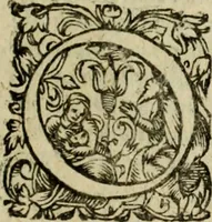 An illustration from Rerum Alamannicarum scriptores aliquot vetusti : à quibus Alamannorum qui nunc partim Suevis, partim Helvetiis cessere, historiae tam saeculares, quam ecclesiasticae traditae sunt : tribus tomis divisi, cum glossis rerum et verborum difficiliorum, ex bibliotheca Melchioris Haiminsfeldii Goldasti. Cum indice rerum & verborum accuratissimo (1661)
