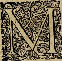 An illustration from Rerum Alamannicarum scriptores aliquot vetusti : à quibus Alamannorum qui nunc partim Suevis, partim Helvetiis cessere, historiae tam saeculares, quam ecclesiasticae traditae sunt : tribus tomis divisi, cum glossis rerum et verborum difficiliorum, ex bibliotheca Melchioris Haiminsfeldii Goldasti. Cum indice rerum & verborum accuratissimo (1661)