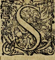An illustration from Rerum Alamannicarum scriptores aliquot vetusti : à quibus Alamannorum qui nunc partim Suevis, partim Helvetiis cessere, historiae tam saeculares, quam ecclesiasticae traditae sunt : tribus tomis divisi, cum glossis rerum et verborum difficiliorum, ex bibliotheca Melchioris Haiminsfeldii Goldasti. Cum indice rerum & verborum accuratissimo (1661)