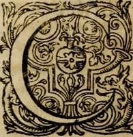 An illustration from Rerum Alamannicarum scriptores aliquot vetusti : à quibus Alamannorum qui nunc partim Suevis, partim Helvetiis cessere, historiae tam saeculares, quam ecclesiasticae traditae sunt : tribus tomis divisi, cum glossis rerum et verborum difficiliorum, ex bibliotheca Melchioris Haiminsfeldii Goldasti. Cum indice rerum & verborum accuratissimo (1661)