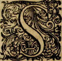 An illustration from Rerum Alamannicarum scriptores aliquot vetusti : à quibus Alamannorum qui nunc partim Suevis, partim Helvetiis cessere, historiae tam saeculares, quam ecclesiasticae traditae sunt : tribus tomis divisi, cum glossis rerum et verborum difficiliorum, ex bibliotheca Melchioris Haiminsfeldii Goldasti. Cum indice rerum & verborum accuratissimo (1661)