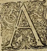 An illustration from Rerum Alamannicarum scriptores aliquot vetusti : à quibus Alamannorum qui nunc partim Suevis, partim Helvetiis cessere, historiae tam saeculares, quam ecclesiasticae traditae sunt : tribus tomis divisi, cum glossis rerum et verborum difficiliorum, ex bibliotheca Melchioris Haiminsfeldii Goldasti. Cum indice rerum & verborum accuratissimo (1661)