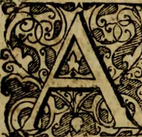 Picture 4 of 116 from Rerum Alamannicarum scriptores aliquot vetusti : à quibus Alamannorum qui nunc partim Suevis, partim Helvetiis cessere, historiae tam saeculares, quam ecclesiasticae traditae sunt : tribus tomis divisi, cum glossis rerum et verborum difficiliorum, ex bibliotheca Melchioris Haiminsfeldii Goldasti. Cum indice rerum & verborum accuratissimo (1661), leaf 8