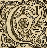 Picture 10 of 15 from [Rerum anglicarum scriptores veteres] (1684), leaf 412