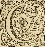 An illustration from [Rerum anglicarum scriptores veteres] (1684)