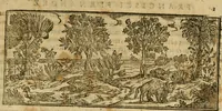 An illustration from Rerum medicarum Novae Hispaniae thesaurus, seu, Plantarum animalium mineralium Mexicanorum historia (1651)