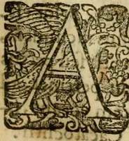 An illustration from Rerum medicarum Novae Hispaniae thesaurus, seu, Plantarum animalium mineralium Mexicanorum historia (1651)