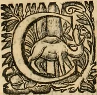 An illustration from Rerum medicarum Novae Hispaniae thesaurus, seu, Plantarum animalium mineralium Mexicanorum historia (1651)