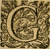 An illustration from Rerum medicarum Novae Hispaniae thesaurus, seu, Plantarum animalium mineralium Mexicanorum historia (1651)