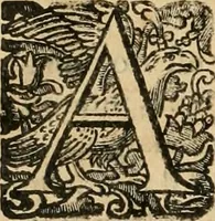 An illustration from Rerum medicarum Novae Hispaniae thesaurus, seu, Plantarum animalium mineralium Mexicanorum historia (1651)