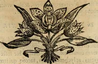 An illustration from Rerum medicarum Novae Hispaniae thesaurus, seu, Plantarum animalium mineralium Mexicanorum historia (1651)