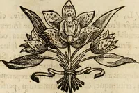 Picture 97 of 812 from Rerum medicarum Novae Hispaniae thesaurus, seu, Plantarum animalium mineralium Mexicanorum historia (1651), leaf 155