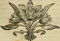 Picture 102 of 812 from Rerum medicarum Novae Hispaniae thesaurus, seu, Plantarum animalium mineralium Mexicanorum historia (1651), leaf 158
