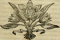 An illustration from Rerum medicarum Novae Hispaniae thesaurus, seu, Plantarum animalium mineralium Mexicanorum historia (1651)