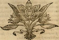 An illustration from Rerum medicarum Novae Hispaniae thesaurus, seu, Plantarum animalium mineralium Mexicanorum historia (1651)