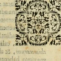 An illustration from Rerum medicarum Novae Hispaniae thesaurus, seu, Plantarum animalium mineralium Mexicanorum historia (1651)