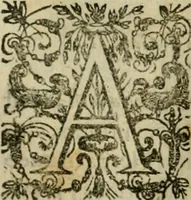 An illustration from Rerum medicarum Novae Hispaniae thesaurus, seu, Plantarum animalium mineralium Mexicanorum historia (1651)
