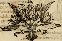 An illustration from Rerum medicarum Novae Hispaniae thesaurus, seu, Plantarum animalium mineralium Mexicanorum historia (1651)