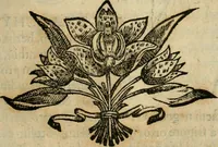 An illustration from Rerum medicarum Novae Hispaniae thesaurus, seu, Plantarum animalium mineralium Mexicanorum historia (1651)