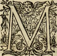 An illustration from Rerum medicarum Novae Hispaniae thesaurus, seu, Plantarum animalium mineralium Mexicanorum historia (1651)