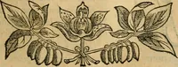 Picture 254 of 812 from Rerum medicarum Novae Hispaniae thesaurus, seu, Plantarum animalium mineralium Mexicanorum historia (1651), leaf 276
