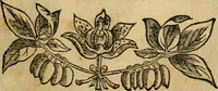 An illustration from Rerum medicarum Novae Hispaniae thesaurus, seu, Plantarum animalium mineralium Mexicanorum historia (1651)