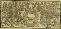 An illustration from Rerum medicarum Novae Hispaniae thesaurus, seu, Plantarum animalium mineralium Mexicanorum historia (1651)