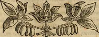 An illustration from Rerum medicarum Novae Hispaniae thesaurus, seu, Plantarum animalium mineralium Mexicanorum historia (1651)