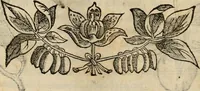 An illustration from Rerum medicarum Novae Hispaniae thesaurus, seu, Plantarum animalium mineralium Mexicanorum historia (1651)