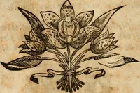 An illustration from Rerum medicarum Novae Hispaniae thesaurus, seu, Plantarum animalium mineralium Mexicanorum historia (1651)