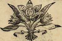 An illustration from Rerum medicarum Novae Hispaniae thesaurus, seu, Plantarum animalium mineralium Mexicanorum historia (1651)