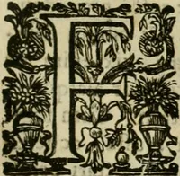 An illustration from Rerum medicarum Novae Hispaniae thesaurus, seu, Plantarum animalium mineralium Mexicanorum historia (1651)
