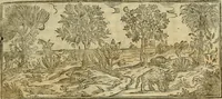 Picture 5 of 812 from Rerum medicarum Novae Hispaniae thesaurus, seu, Plantarum animalium mineralium Mexicanorum historia (1651), leaf 38
