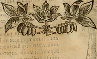 An illustration from Rerum medicarum Novae Hispaniae thesaurus, seu, Plantarum animalium mineralium Mexicanorum historia (1651)