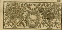 Picture 392 of 812 from Rerum medicarum Novae Hispaniae thesaurus, seu, Plantarum animalium mineralium Mexicanorum historia (1651), leaf 382