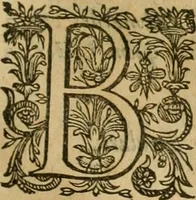Picture 393 of 812 from Rerum medicarum Novae Hispaniae thesaurus, seu, Plantarum animalium mineralium Mexicanorum historia (1651), leaf 382