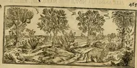 An illustration from Rerum medicarum Novae Hispaniae thesaurus, seu, Plantarum animalium mineralium Mexicanorum historia (1651)