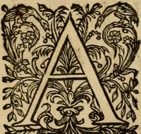 An illustration from Rerum medicarum Novae Hispaniae thesaurus, seu, Plantarum animalium mineralium Mexicanorum historia (1651)