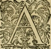 An illustration from Rerum medicarum Novae Hispaniae thesaurus, seu, Plantarum animalium mineralium Mexicanorum historia (1651)