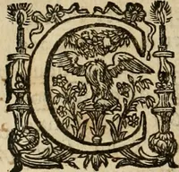 An illustration from Rerum medicarum Novae Hispaniae thesaurus, seu, Plantarum animalium mineralium Mexicanorum historia (1651)