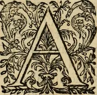 An illustration from Rerum medicarum Novae Hispaniae thesaurus, seu, Plantarum animalium mineralium Mexicanorum historia (1651)