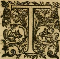 An illustration from Rerum medicarum Novae Hispaniae thesaurus, seu, Plantarum animalium mineralium Mexicanorum historia (1651)