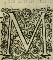 An illustration from Rerum medicarum Novae Hispaniae thesaurus, seu, Plantarum animalium mineralium Mexicanorum historia (1651)