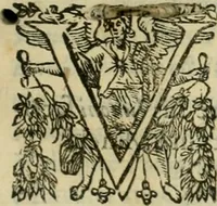 An illustration from Rerum medicarum Novae Hispaniae thesaurus, seu, Plantarum animalium mineralium Mexicanorum historia (1651)