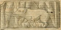 An illustration from Rerum medicarum Novae Hispaniae thesaurus, seu, Plantarum animalium mineralium Mexicanorum historia (1651)