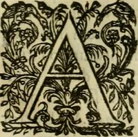 An illustration from Rerum medicarum Novae Hispaniae thesaurus, seu, Plantarum animalium mineralium Mexicanorum historia (1651)